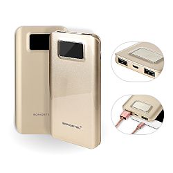 Mayoreo gran capacidad power bank del aceite brillante con pantalla digital