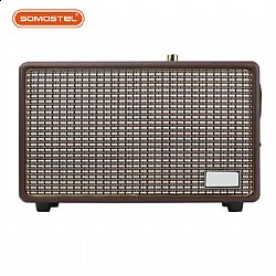 SK-2025 Microphone Sound