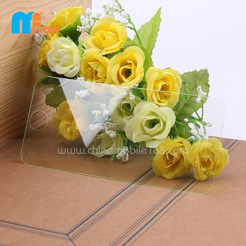 Tempered Transparent Glass Screen Protector for iPhone 5S